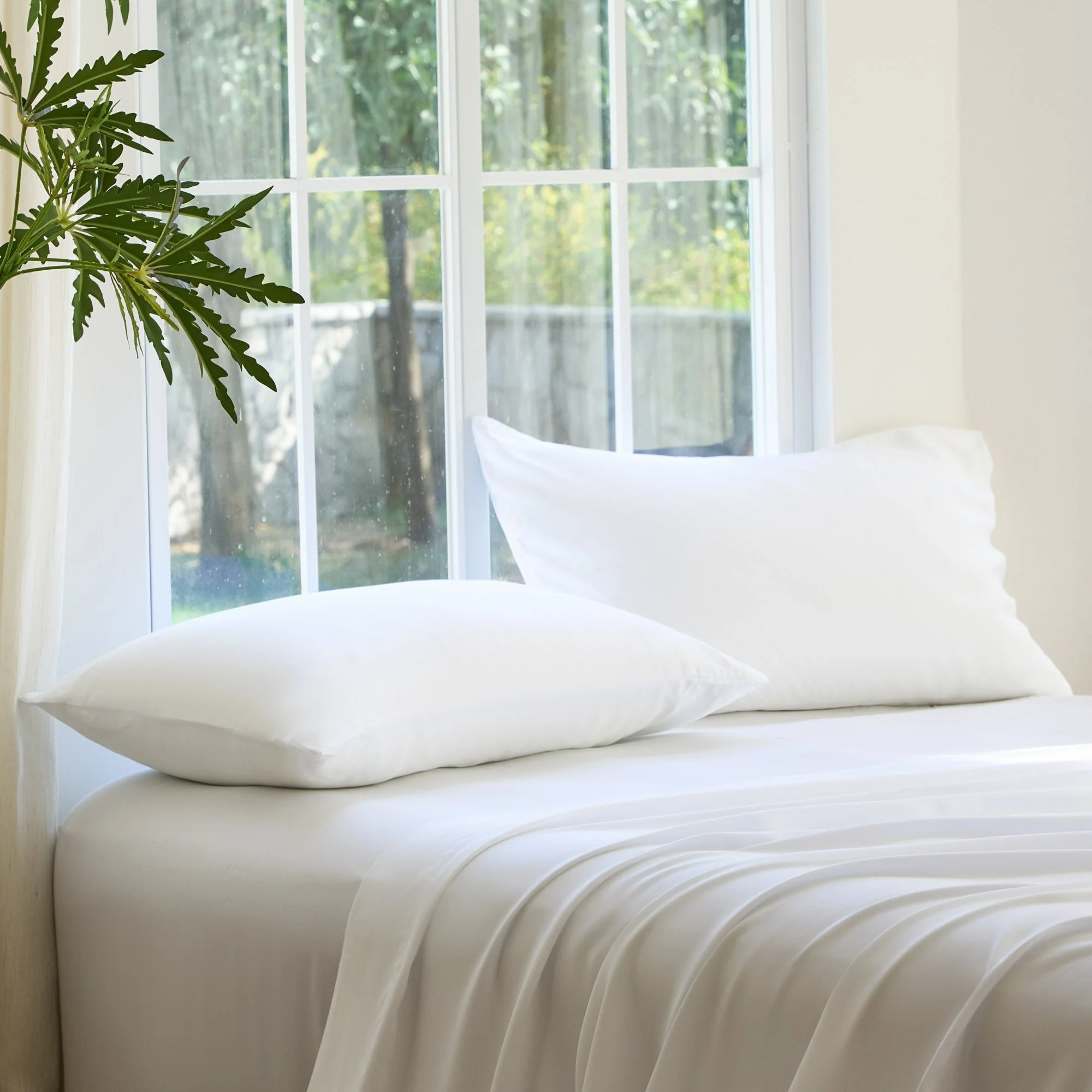 DOZ Bamboo Pillowcase Set - Image 4