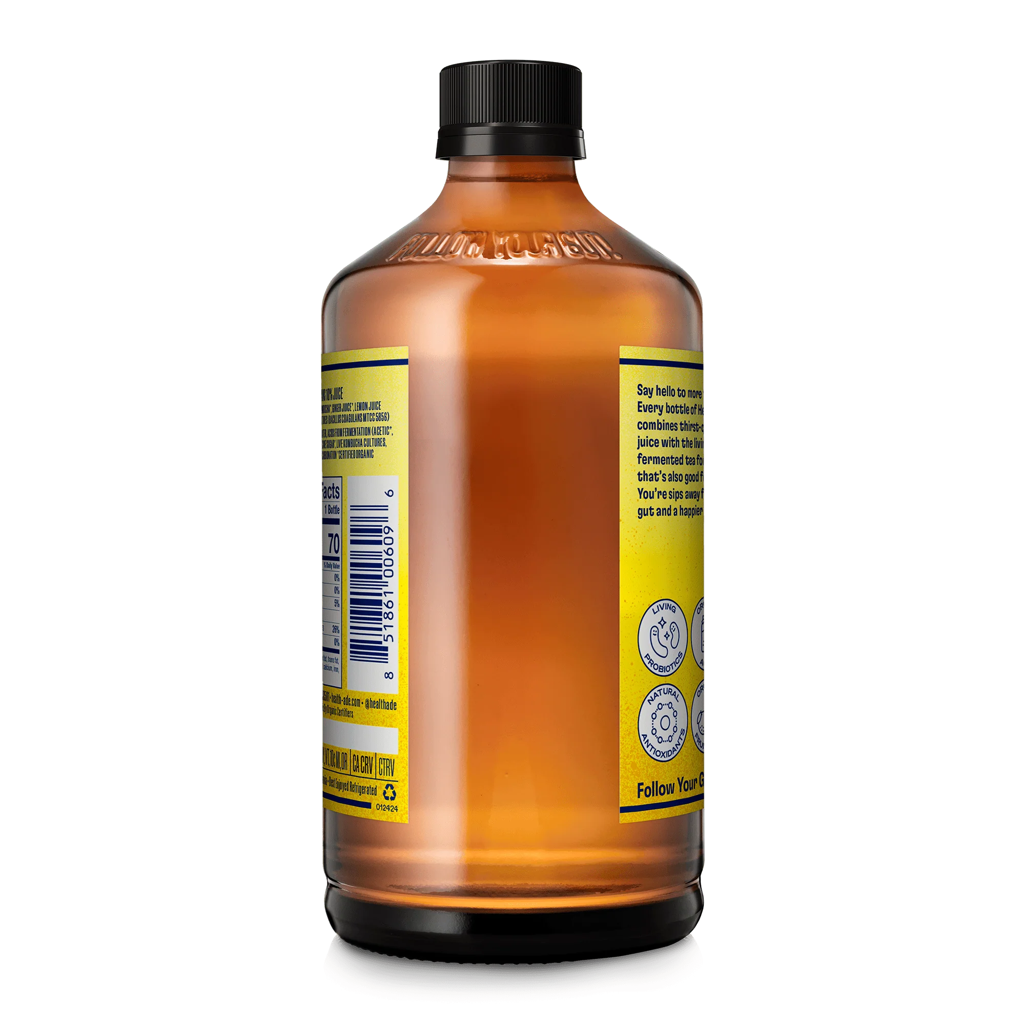 Ginger-Lemon Kombucha - Image 7