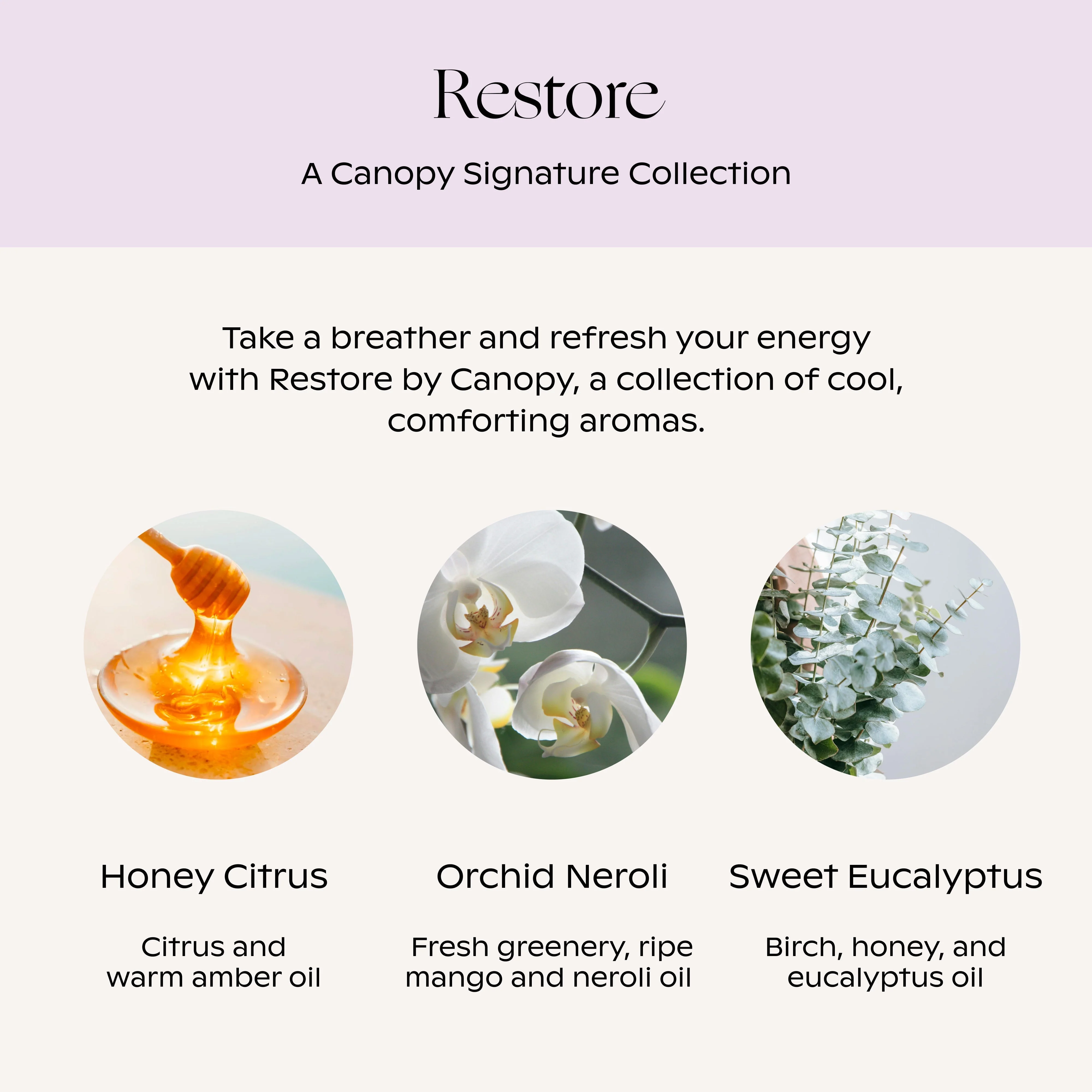 Restore Aroma Kit - Image 3