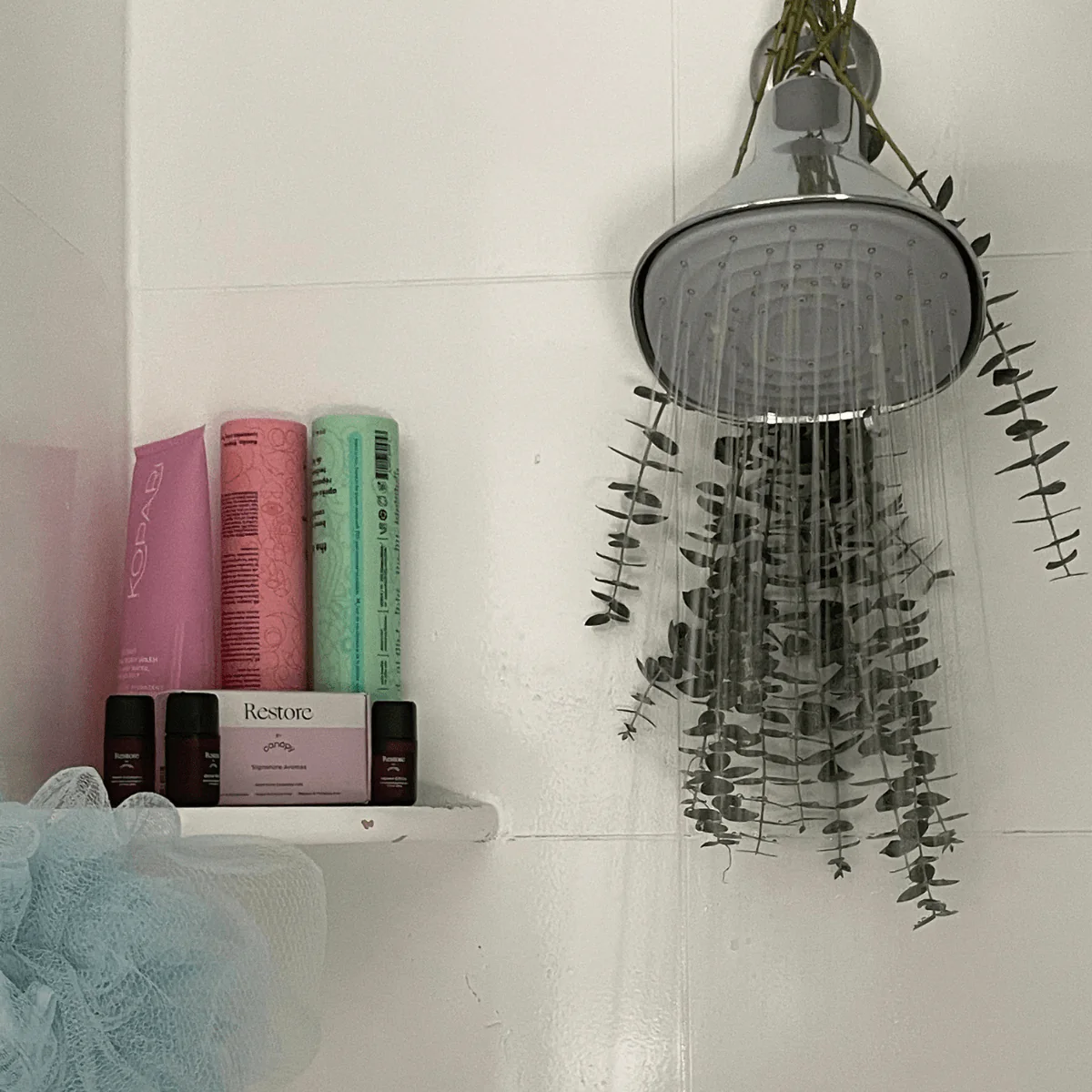 Restore Aroma Kit - Image 6